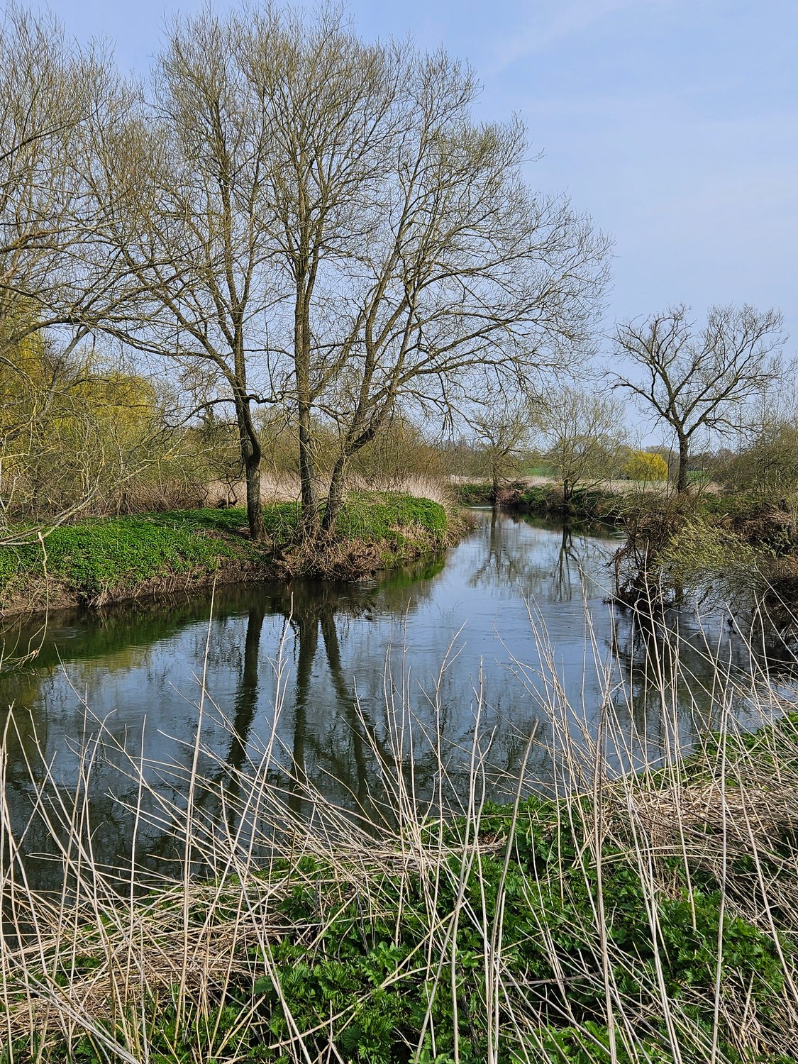 River View Forest Bank Residential Moorings