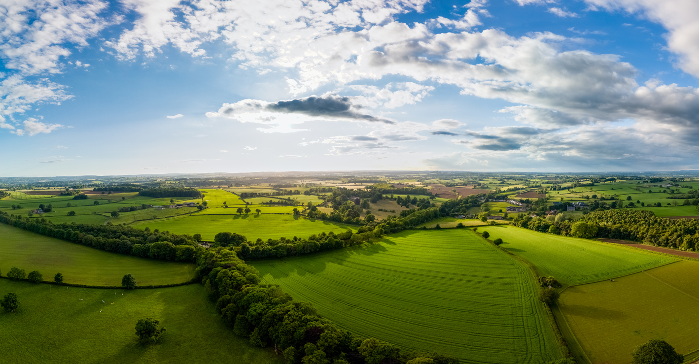 iStock-2165552768
